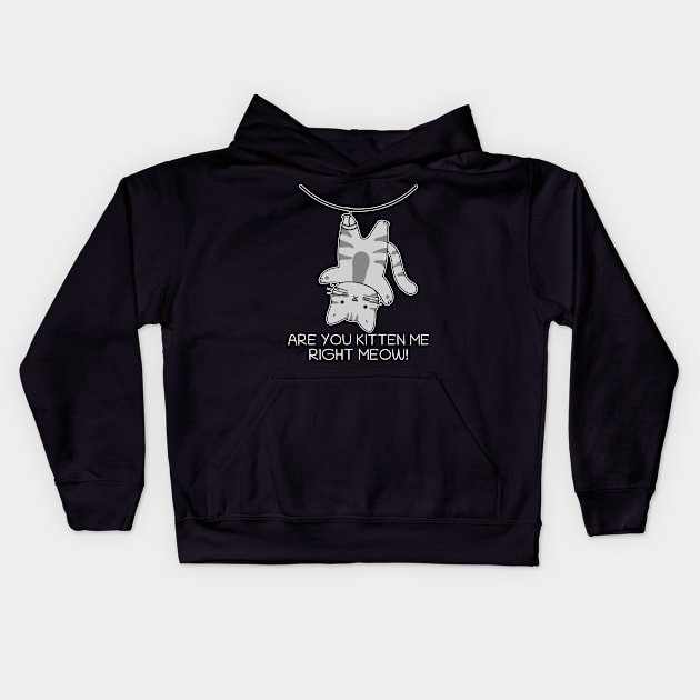 Are You Kitten Me Right Meow Kids Hoodie by PorcupineTees